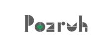 Pozruh Ai social media marketer in Delhi